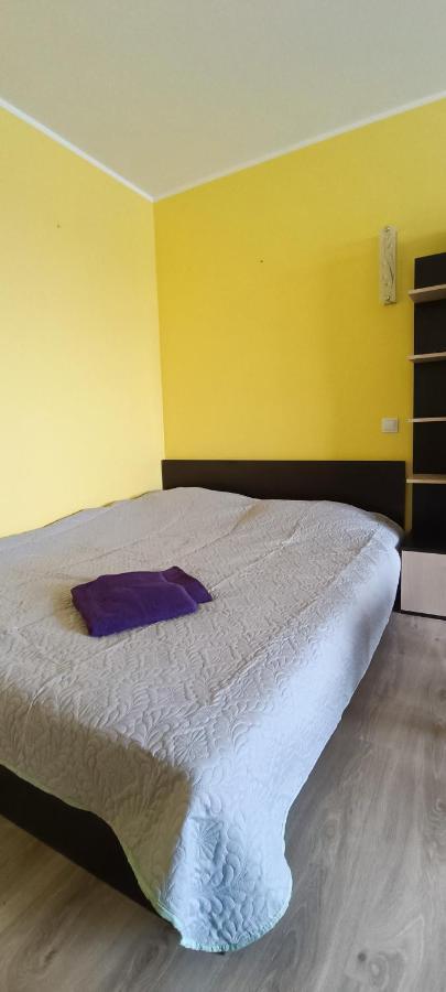 Adeles Apartamentai Panevezyje Panevezys Ngoại thất bức ảnh